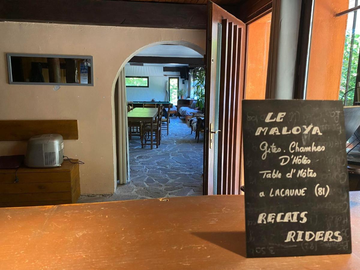 "Le Maloya" Chalets Independants -Chambre Balneo - Relais Motards Lacaune Dış mekan fotoğraf