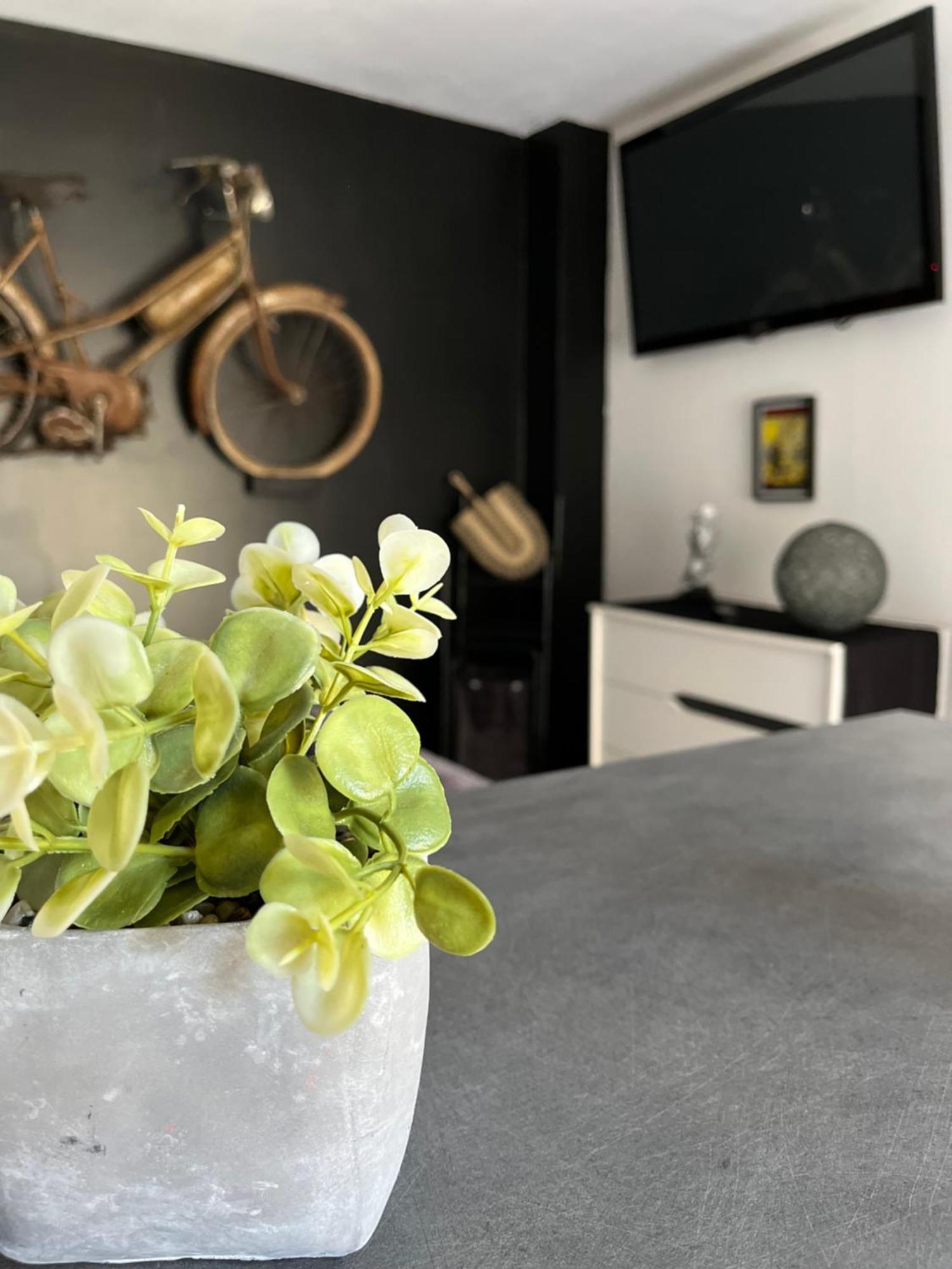 "Le Maloya" Chalets Independants -Chambre Balneo - Relais Motards Lacaune Dış mekan fotoğraf