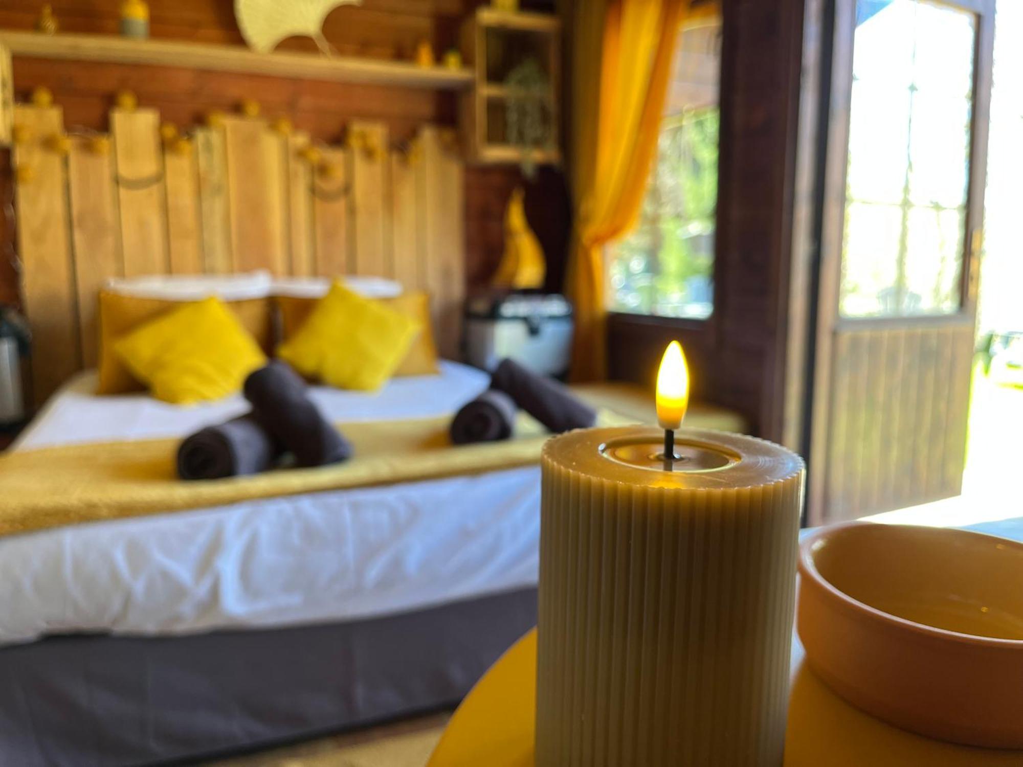 "Le Maloya" Chalets Independants -Chambre Balneo - Relais Motards Lacaune Dış mekan fotoğraf